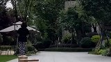 这就是取快递的最高境界吧