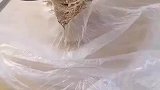 昨天和老公吵架了，今天必须报复一下