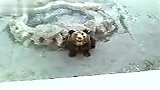 旅游-北湖公园一日游