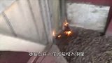 外国牛人为了捉住老鼠，将后院炸了个底朝天，老鼠：何怨何愁啊！