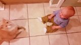 萌娃和萌猫搞笑瞬间集锦，即使是喵星人也得臣服于熊孩子！