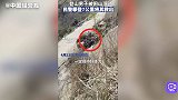 登山男子被困山顶，民警手脚并用搜寻近2小时救下
