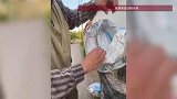 被“仅退款”榴莲商家回应买方被行拘：拒绝与买方父母协商，只希望依法处理