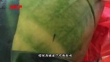搞笑视频：大哥一看就是干大事的人 太淡定了