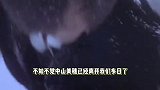 中山美穗儿子放弃遗产继承权，生前母子二人分居两地，几乎断联