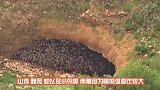 猛雕死死按住秃鹫，满身杀气，网友：兄弟也会反目成仇