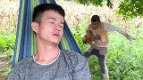 搞笑段子母鸡两年不下蛋，拿去给队长的公鸡拜堂