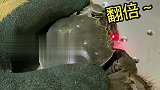 给螃蟹刻字，身价立马翻倍啊