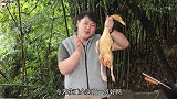 湘西土匪鸭，名字霸道味道更霸道，香辣入味越吃越过瘾