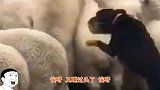 爆笑：两个妹子扭来扭去真不错，双倍的快乐谁顶得住