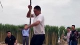 这是一颗有灵魂的甘蔗，个个是高手