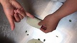 店里新来的大师傅教我们包韭菜盒子，这手法真是让我们开眼了