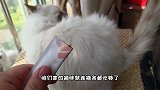 救助的6只猫竟然挑食，动手为野外流浪野猫做家，帮助从点滴做起