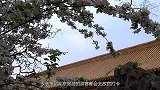 故宫下午4点就清场，难道里面真有不干净的东西？看完明白了