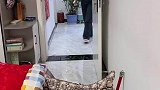 本想逗逗老公，万万没想到结果