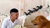 轮可爱胎又来坑爸爸了,这套路真深,小鼻子一动一动的真可爱