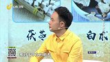 中医调理甲亢的关键原则