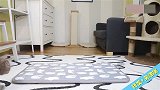 主人给了猫咪一个好东西，猫咪觉得特别舒服