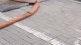 最后知道真相的我眼泪掉下来！