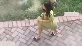 女子和狗子拉扯，宛如情侣吵架翻版！
