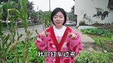 打卡成都20年资格老店，吃正宗藿香土鳝鱼