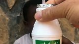 非洲孩子喝牛奶，喝了一口喝上瘾了，看着让人心疼！