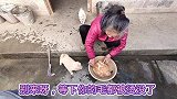 开水这么烫也不怕，小狗围观老妈拔鸡毛，再靠近一点就要变落汤狗