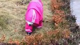 狗狗雨衣买大了，哈哈哈哈哈！