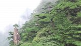 又到了适合爬山的季节了