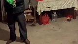 沙雕迷惑行为 玩着玩着就……这大孝子啊，妈见会打吧搞笑视频