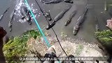 小伙花样作死鳄鱼头上走绳 脚下鳄鱼虎视眈眈