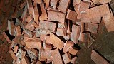 高校组织学生搬砖?校方:重新垒院墙