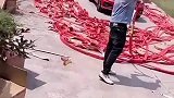 买车后放炮庆祝，大哥真是个狠人