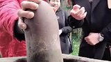 我看这玩意儿不光能捣蒜吧