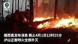 西昌森林火灾正面明火全部扑灭 扑火队员彻夜救援席地而睡