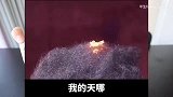 据说手机来电能把钢丝棉点着辐射真的这么大吗，赶紧实测一下