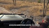 情侣在天台游泳，被“猛兽”偷袭，女子反应堪比教科书级别