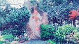 最美杭州等你来游