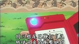 精灵宝可梦：小智碰到了一群牛，小火龙也被按住了