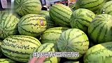 18元每斤！被“西瓜刺客”吓了一跳，今年的瓜价贵了吗？