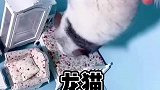龙猫身上的毛特别特别软，几乎找不到比它手感更好的了