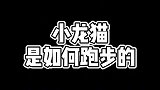 小龙猫的跑步姿势简直太好玩了