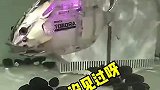 这是什么鱼，机械鱼吗