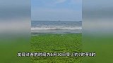 山东一地海面变“草原”了！海上行船似“陆地行舟”，当地回应