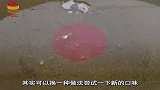 鸡蛋和它一起吃，腰不痛腿不软，肾也变的有动力，一口气上六楼！