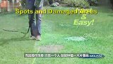 美国人发明的这种液体,对着土地一喷就能长出草