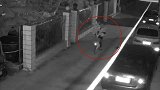 江苏南通：用女友信息做掩护，男子骑共享单车偷盗名贵花木