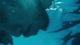 韩国爆笑喜剧《海盗》，几个海盗被鲨鱼拖着跑，活生生把鲨鱼累死