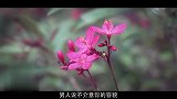 做女人不容易，女人是弱势群体，作为男人就应该保护她们