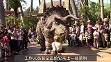 日本人复活“恐龙”了？上万人挤满动物园，只为观赏恐龙